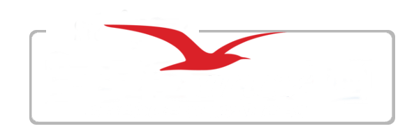 Logo Ancv Nice Digne Cheques Vacances