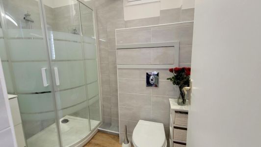 Salle de bain avec douche et wc